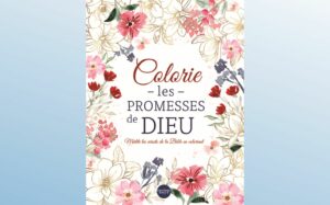 COLORIE LES PROMESSES DE DIEU - MÉDITE LES VERSETS DE LA BIBLE EN COLORIANT